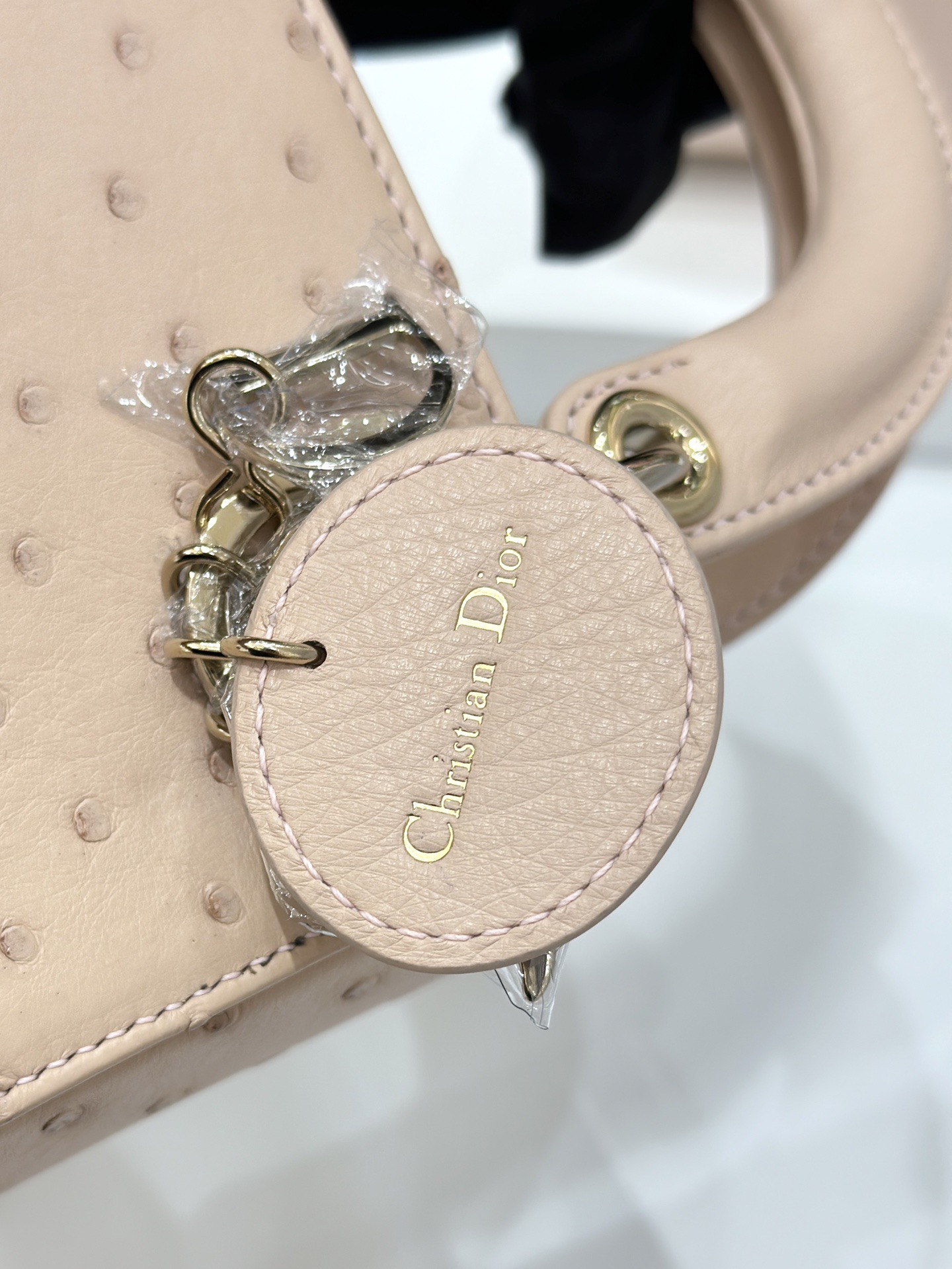 OSTRICH LEATHER - Image 6