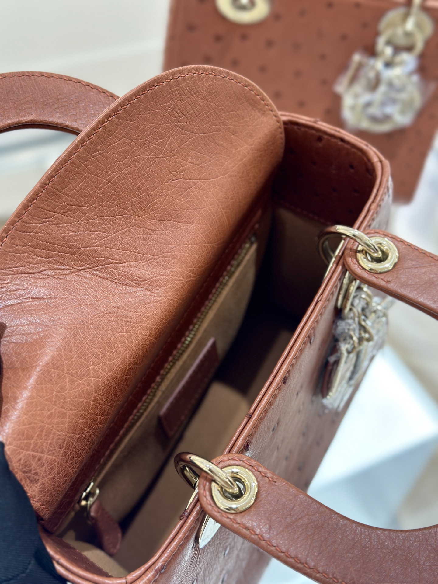 OSTRICH LEATHER  - Image 8