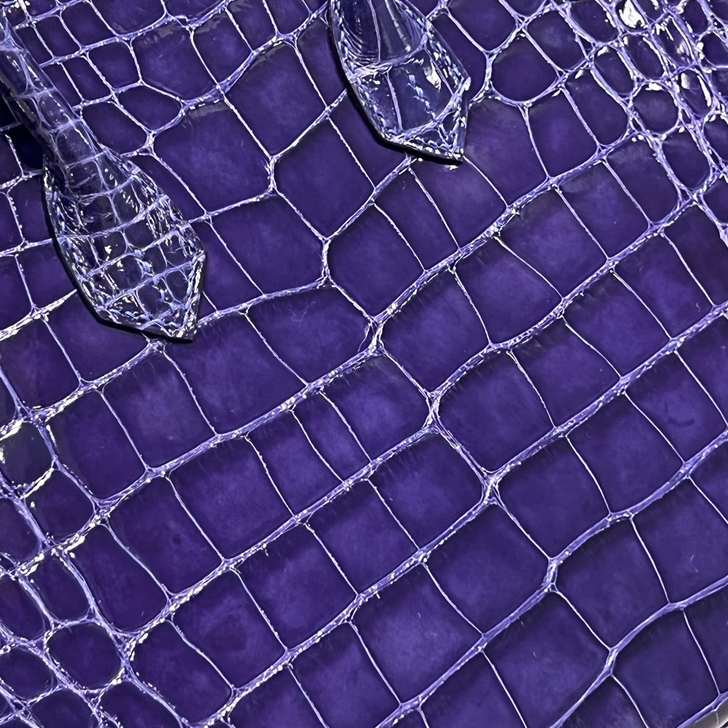 Birkin crocodile 25cm - Image 9