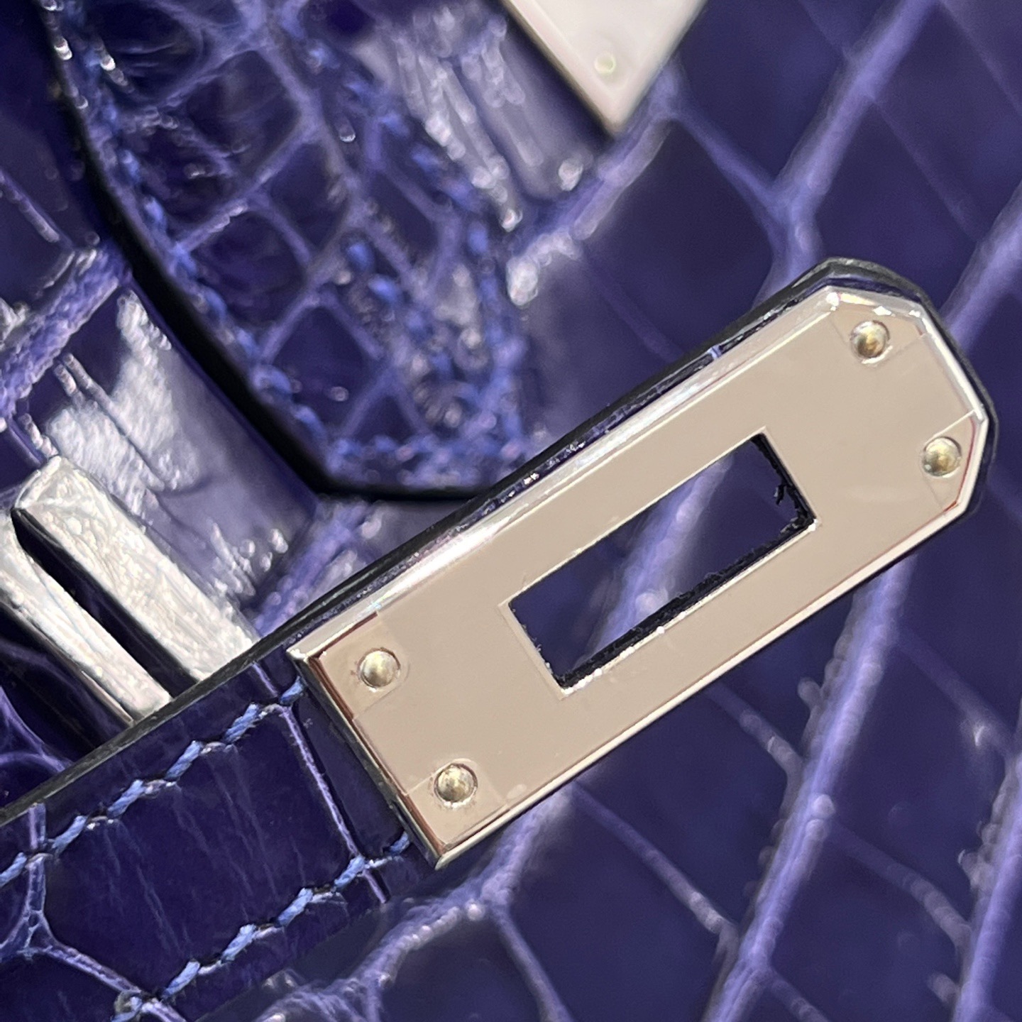 Birkin crocodile 25cm - Image 8