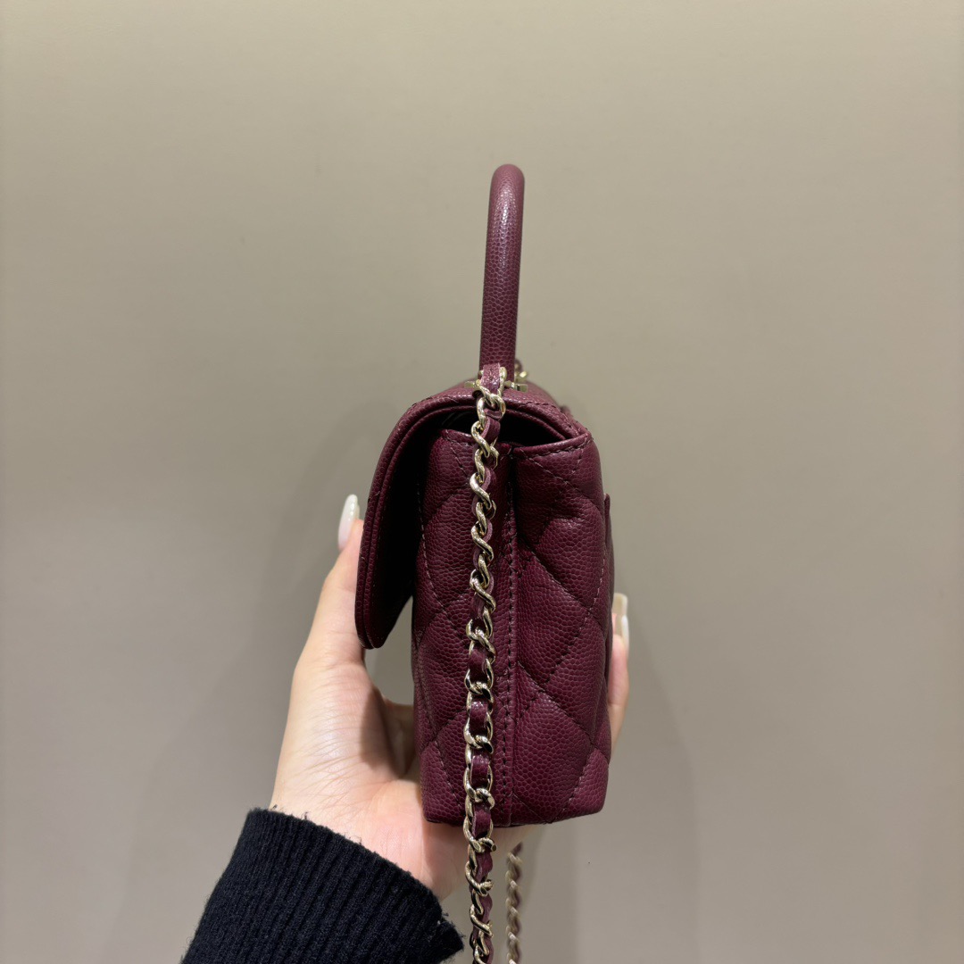 Mini CoCo - Image 2
