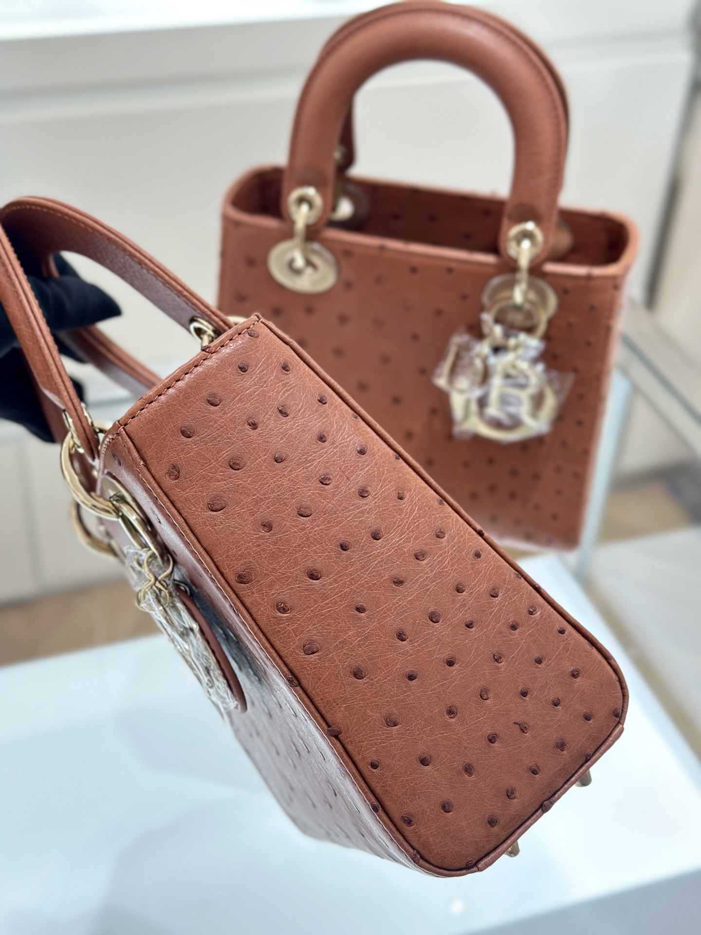 OSTRICH LEATHER  - Image 3