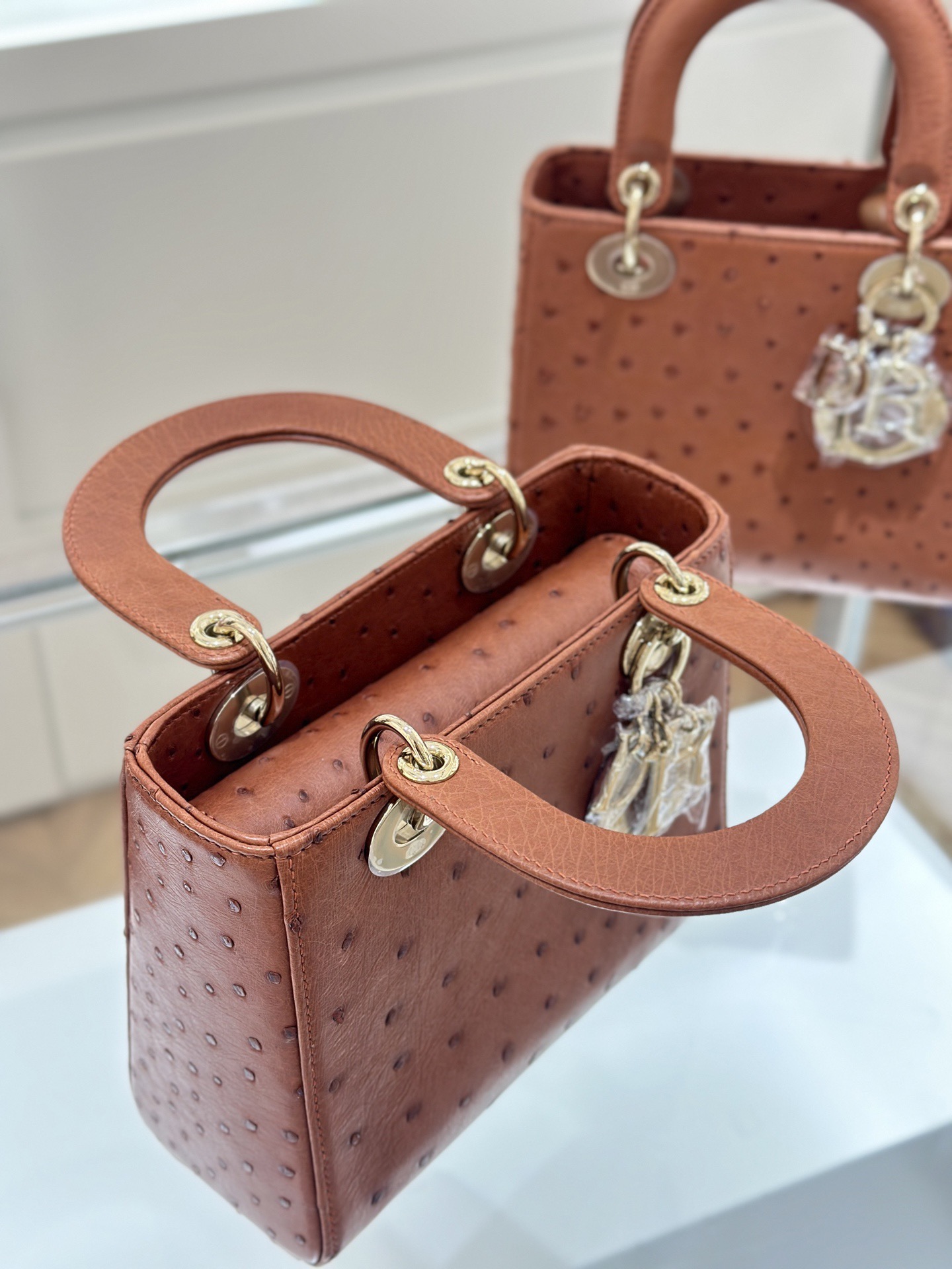 OSTRICH LEATHER  - Image 6