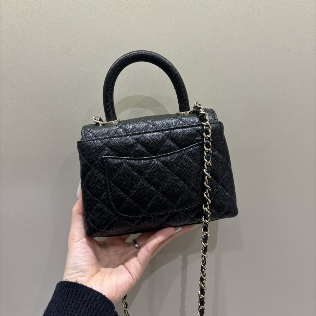 Mini CoCo - Image 3