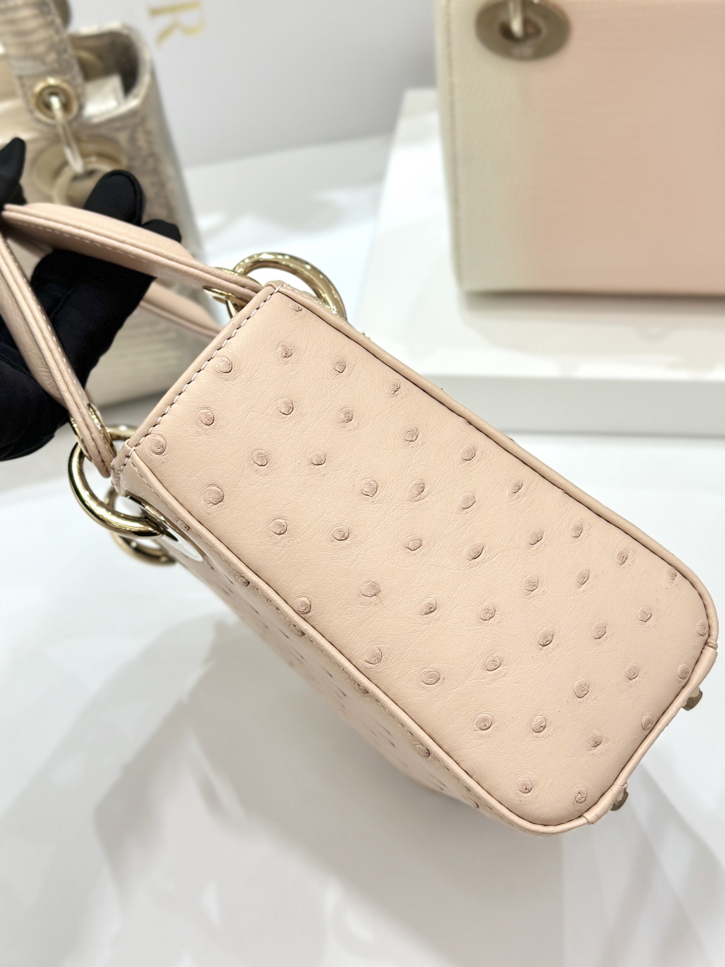OSTRICH LEATHER - Image 4