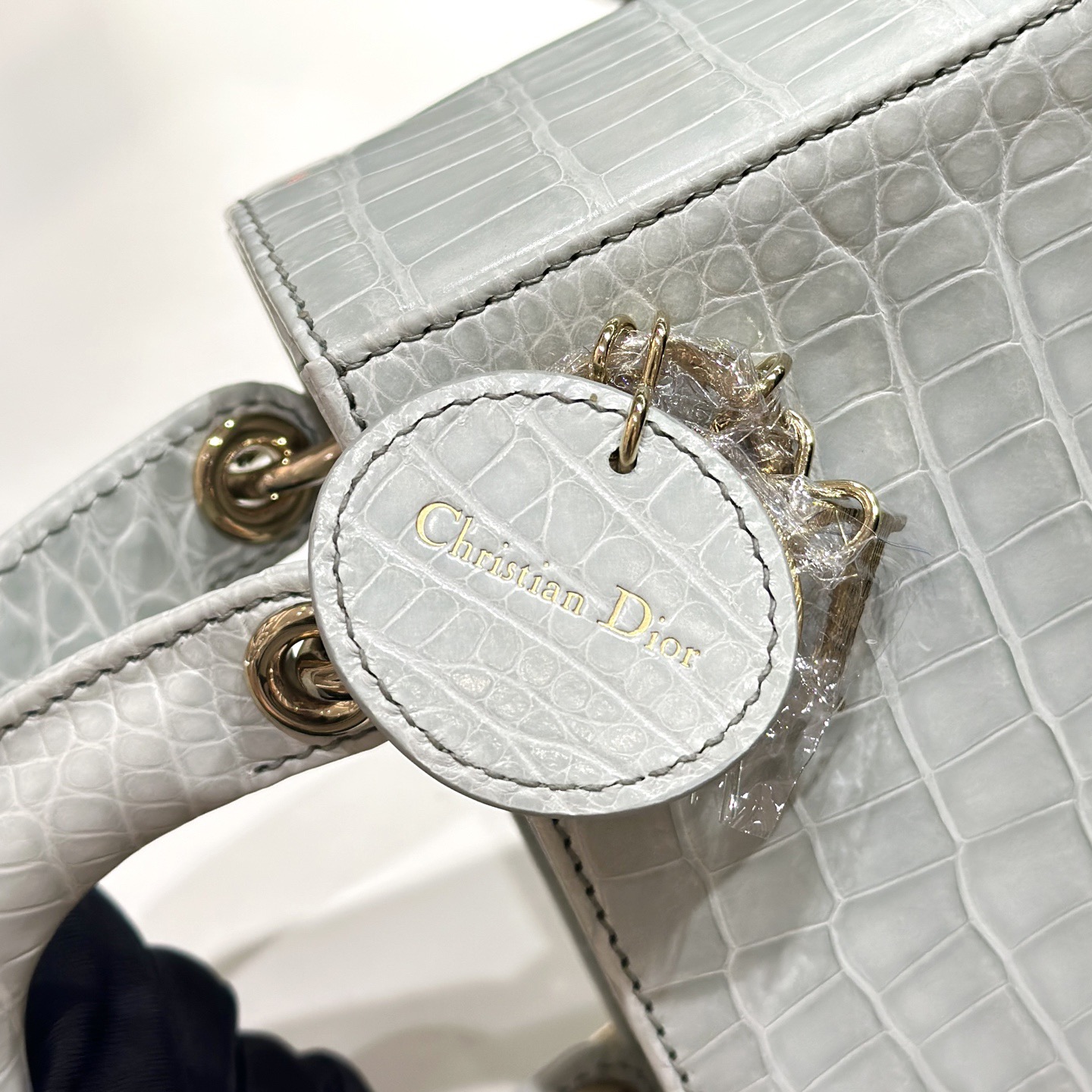 CROCODILE LEATHER  - Image 5