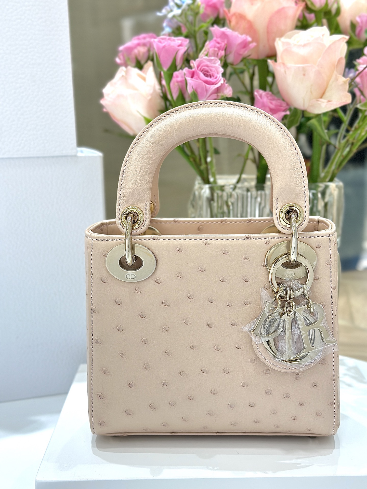 OSTRICH LEATHER