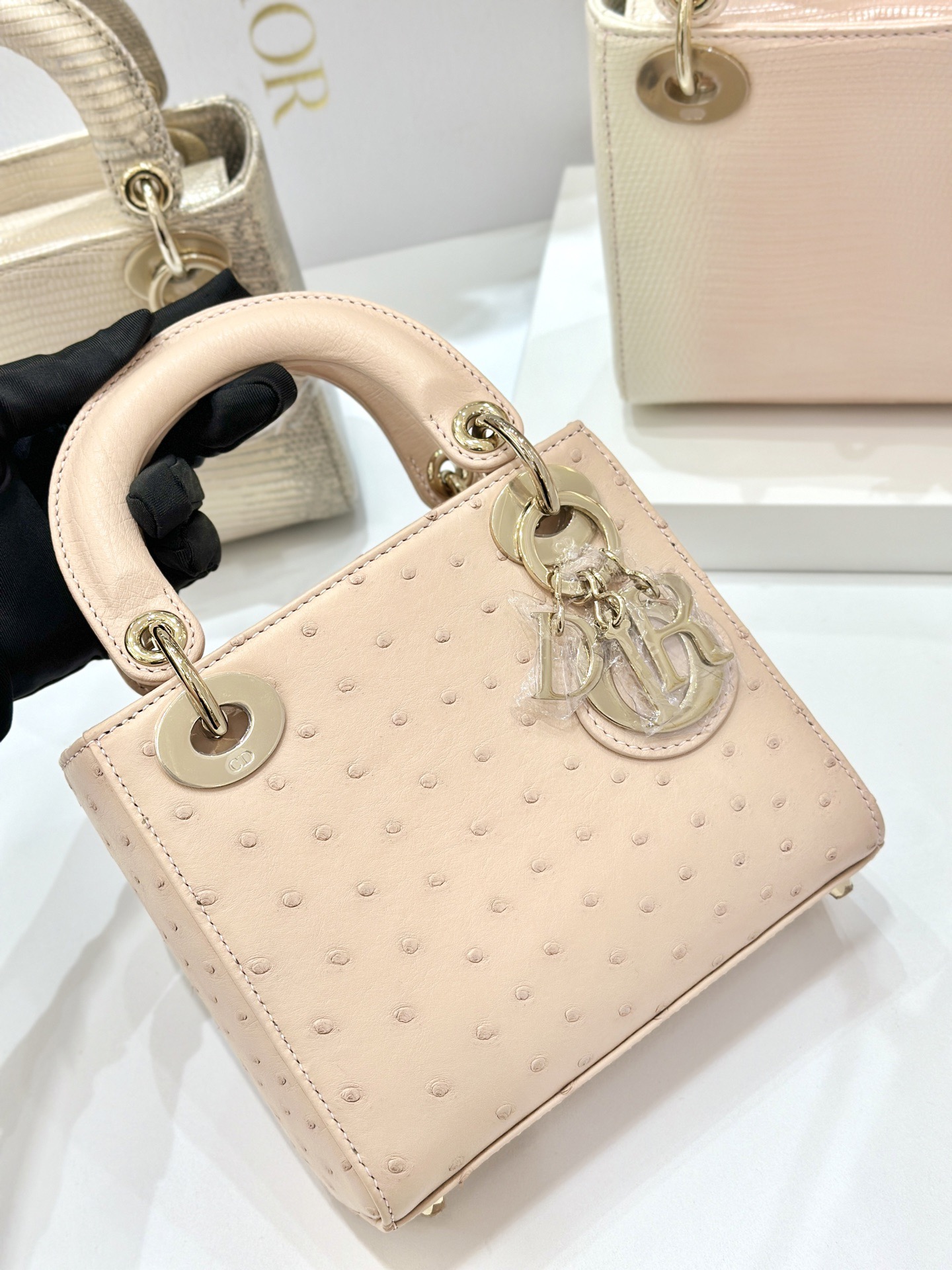 OSTRICH LEATHER - Image 2