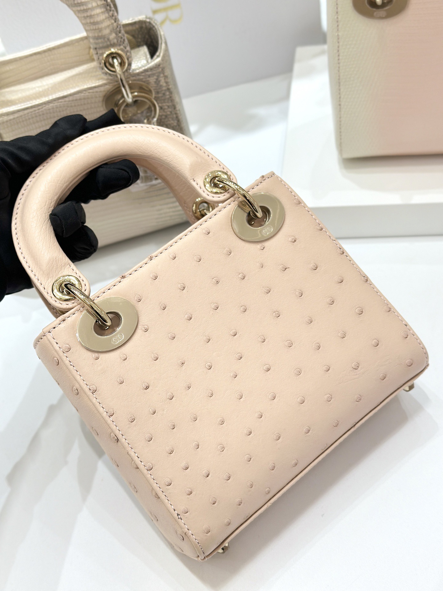 OSTRICH LEATHER - Image 3