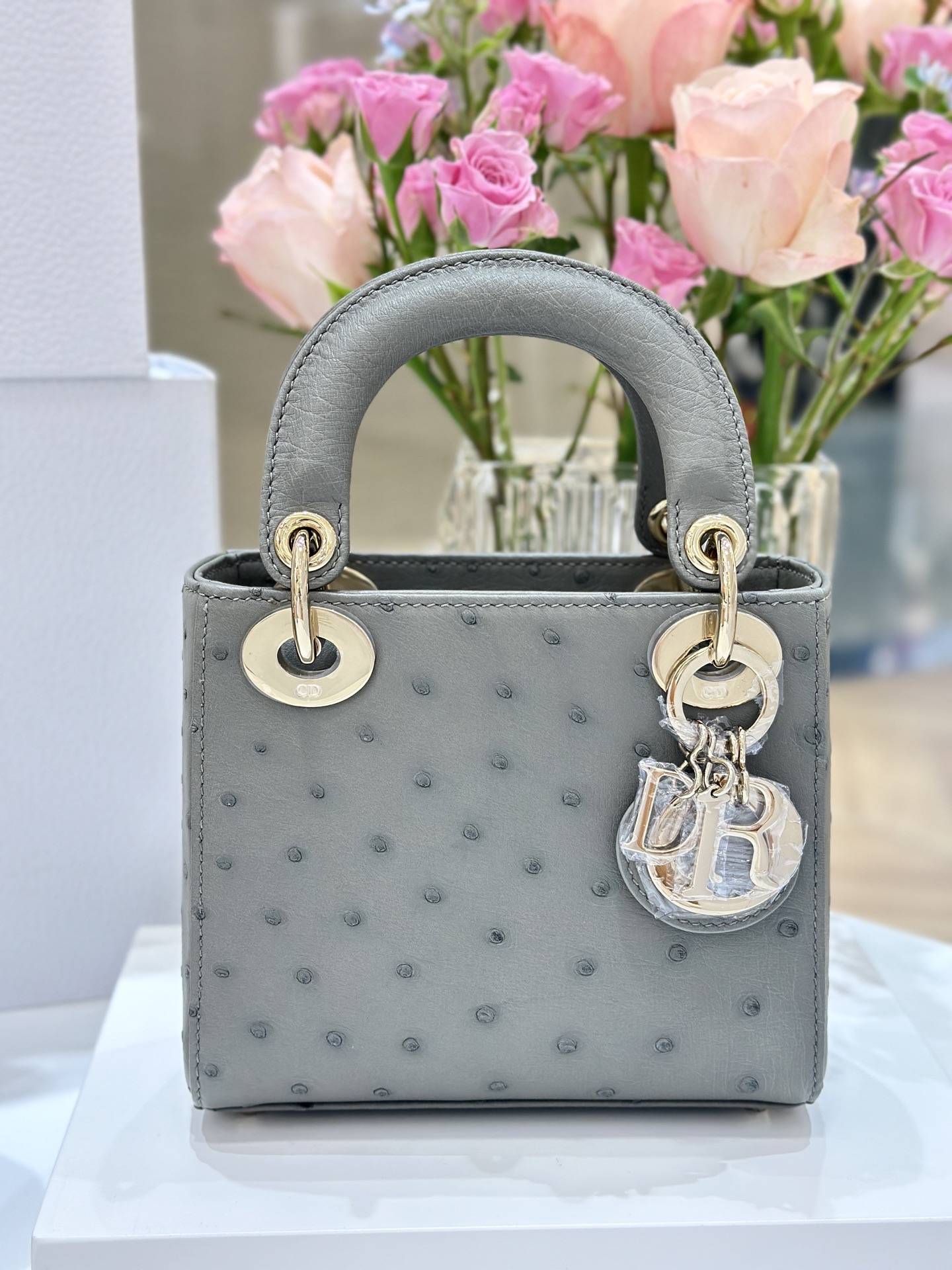 OSTRICH LEATHER 