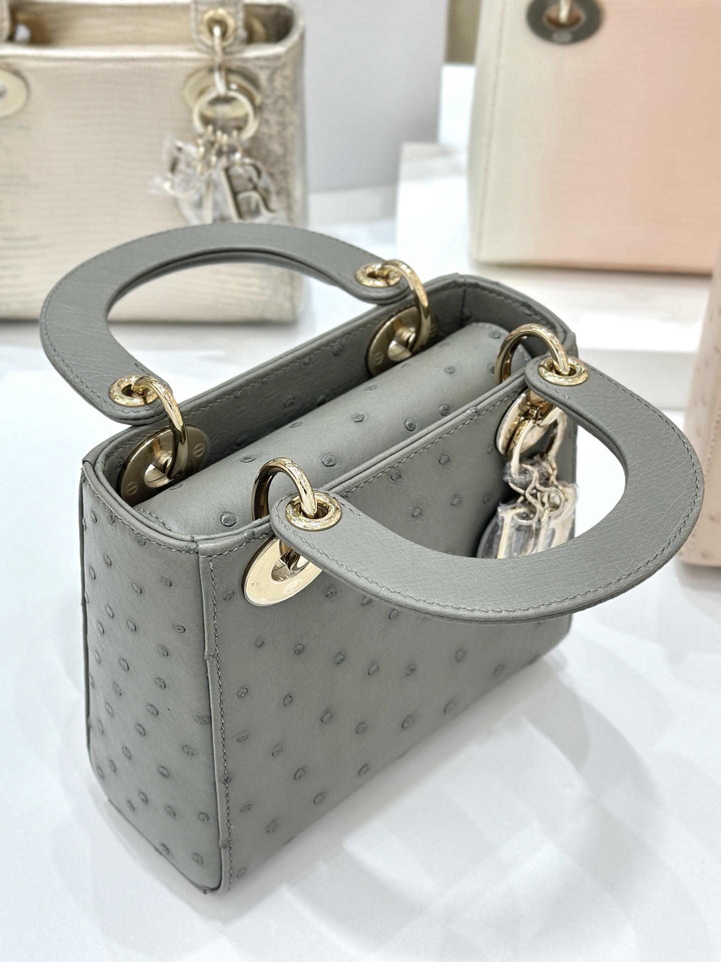 OSTRICH LEATHER  - Image 5