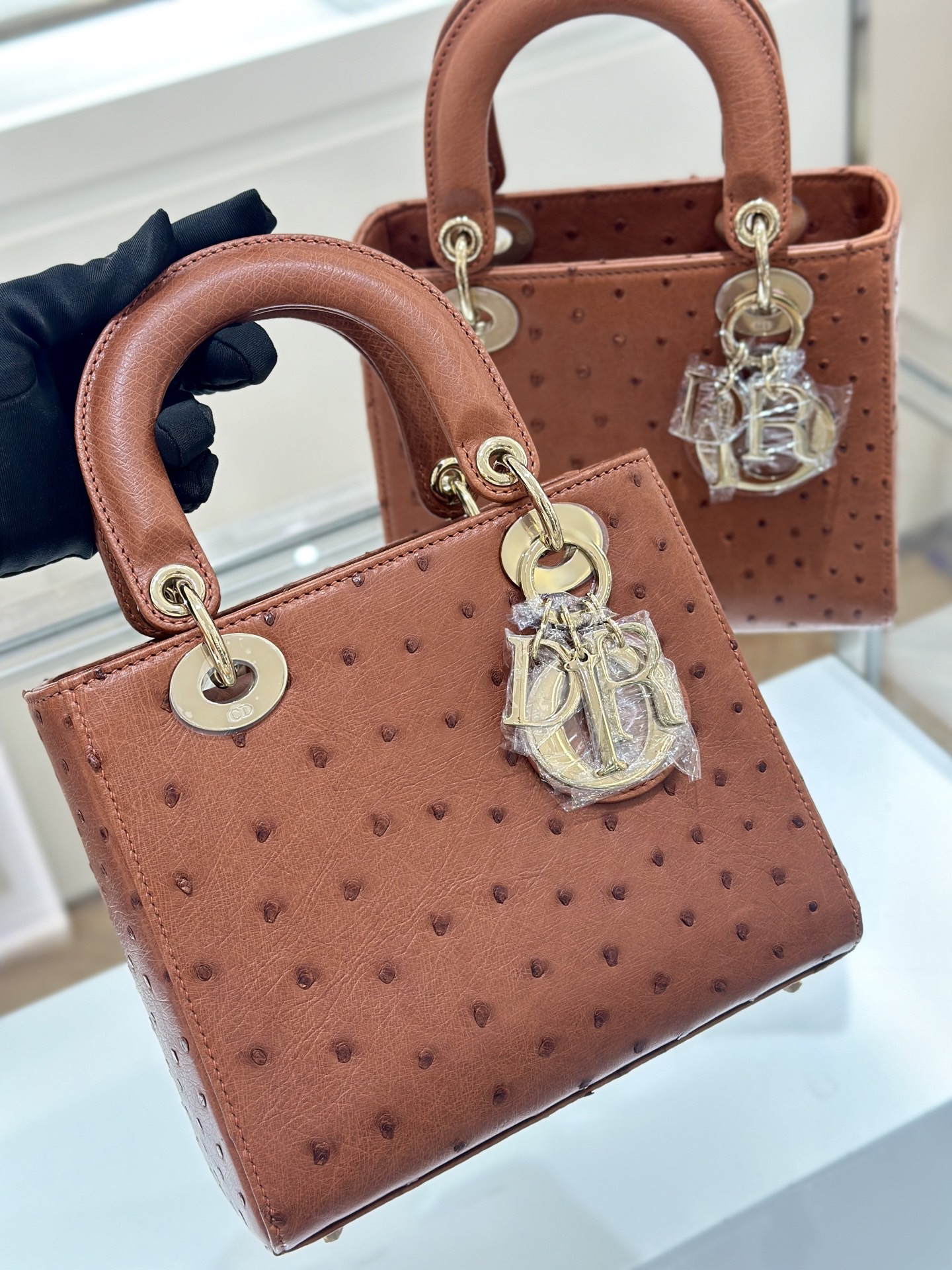 OSTRICH LEATHER 