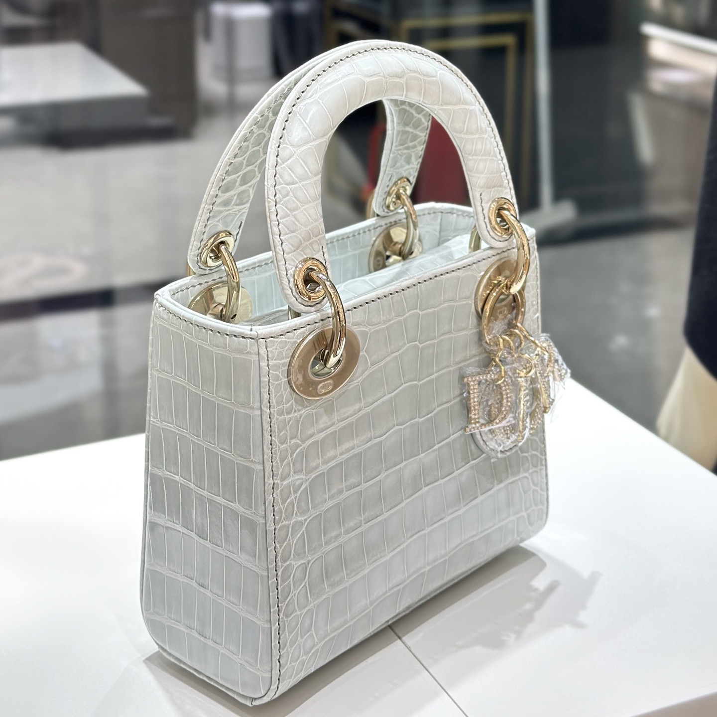 CROCODILE LEATHER  - Image 8