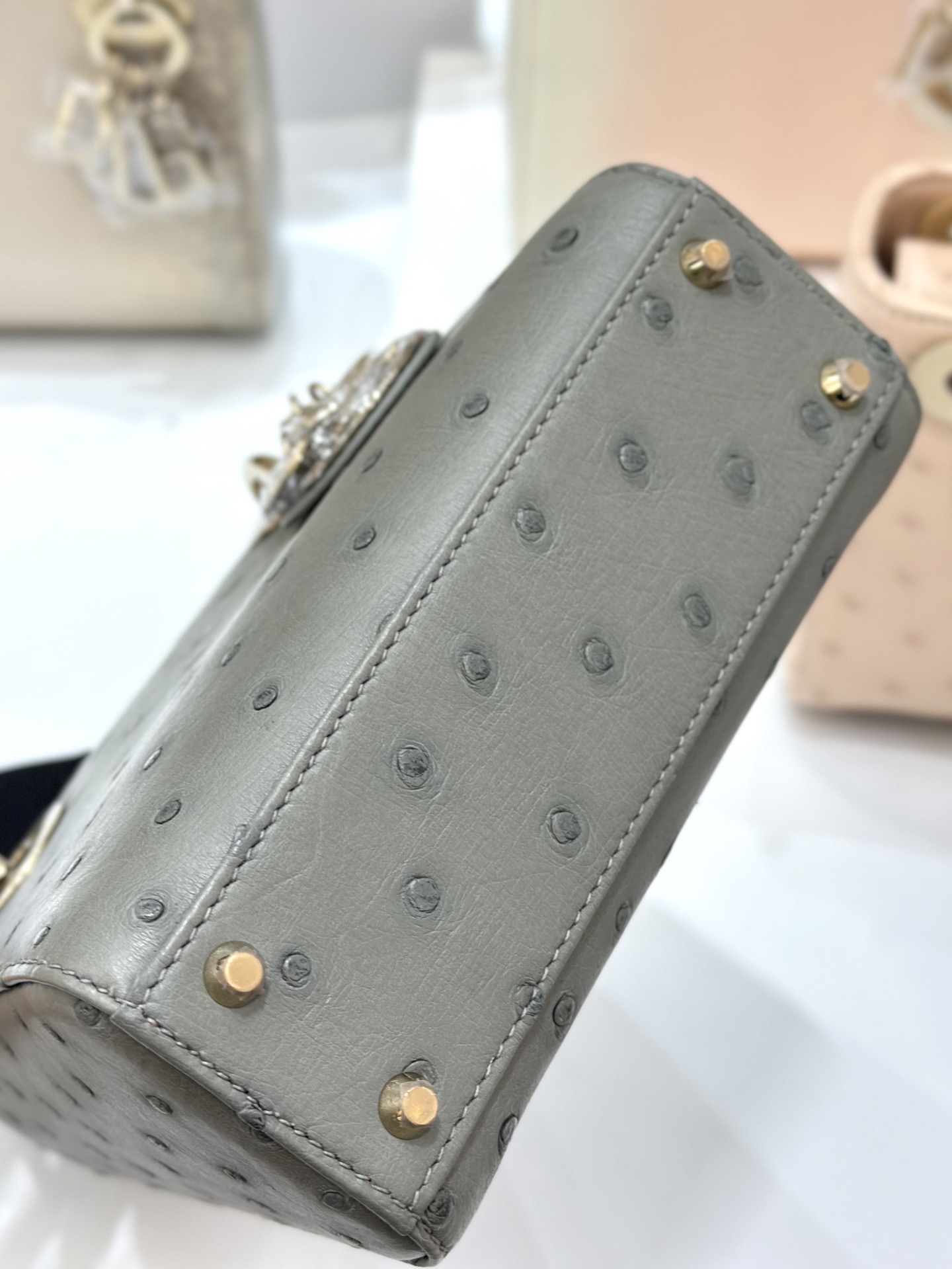 OSTRICH LEATHER  - Image 4