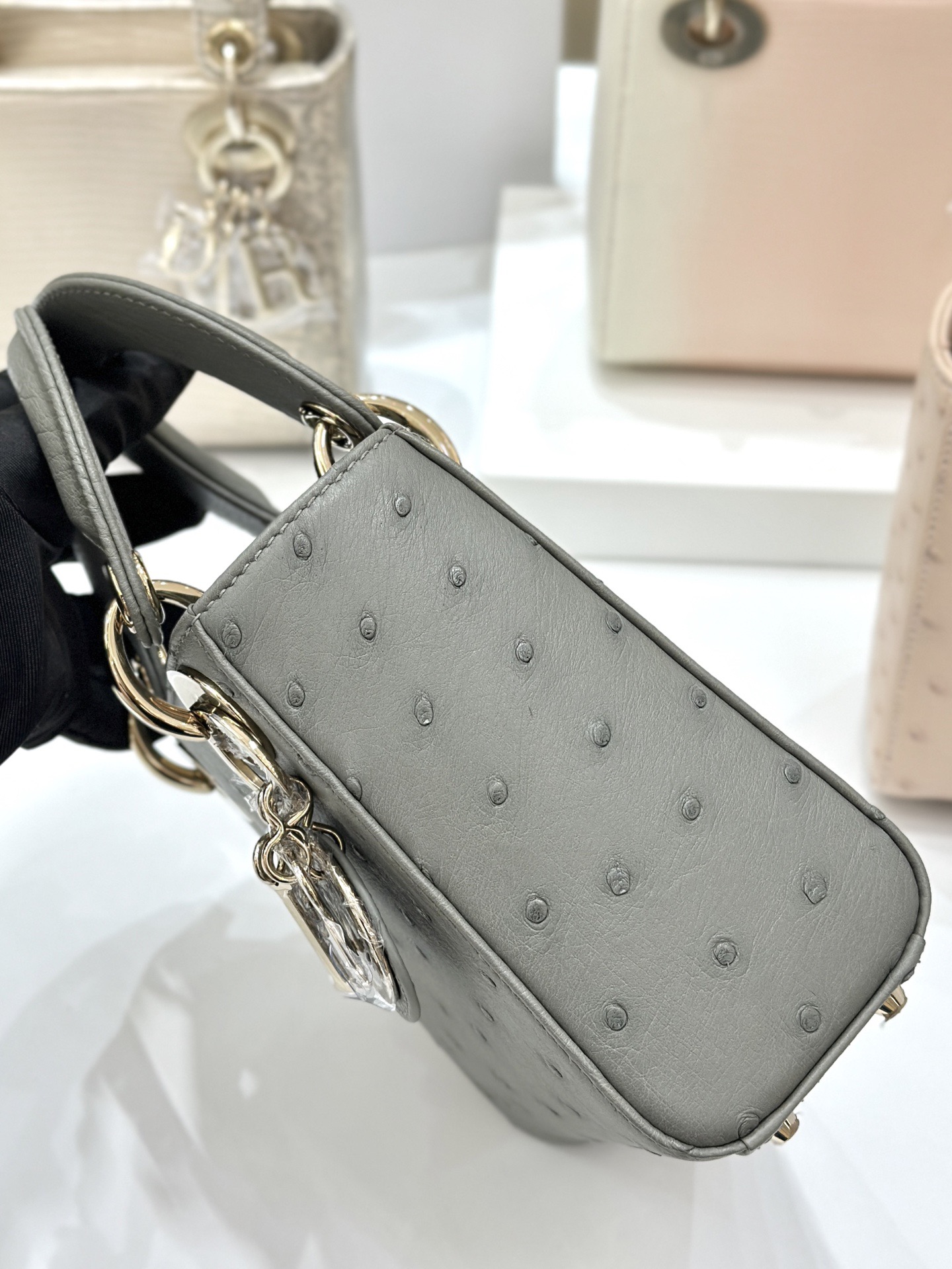 OSTRICH LEATHER  - Image 2