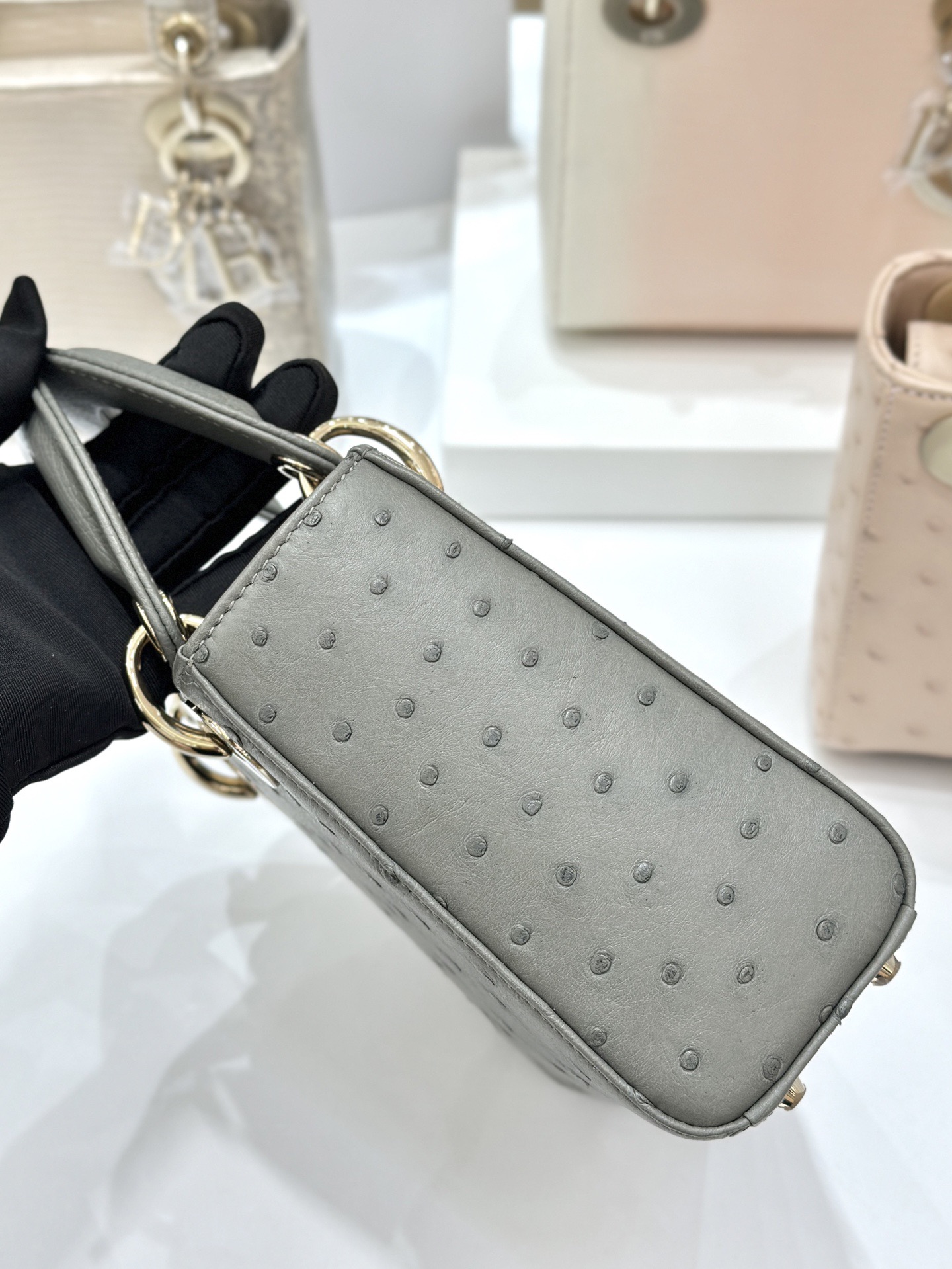 OSTRICH LEATHER  - Image 3