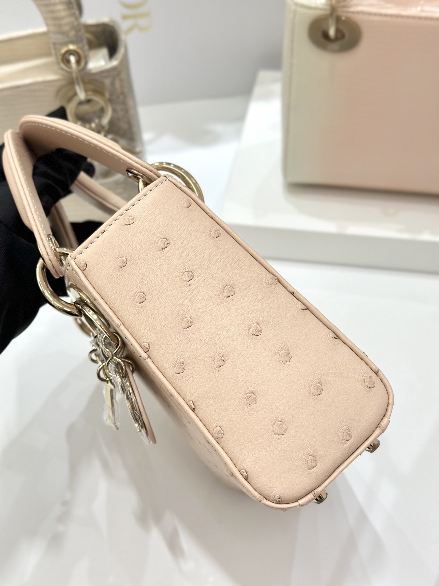 OSTRICH LEATHER - Image 5