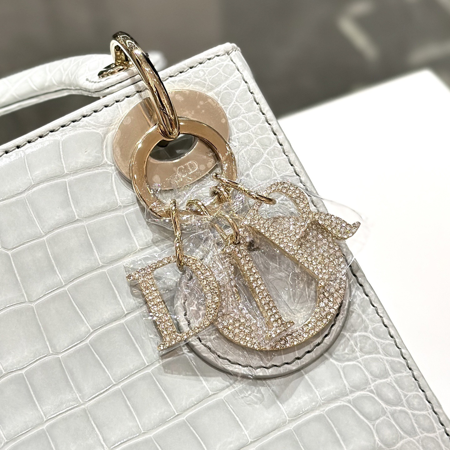 CROCODILE LEATHER  - Image 6