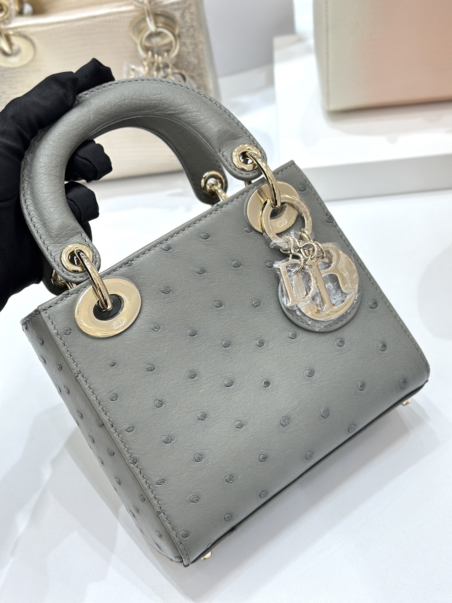 OSTRICH LEATHER  - Image 6