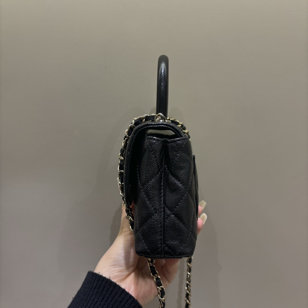 Mini CoCo - Image 2