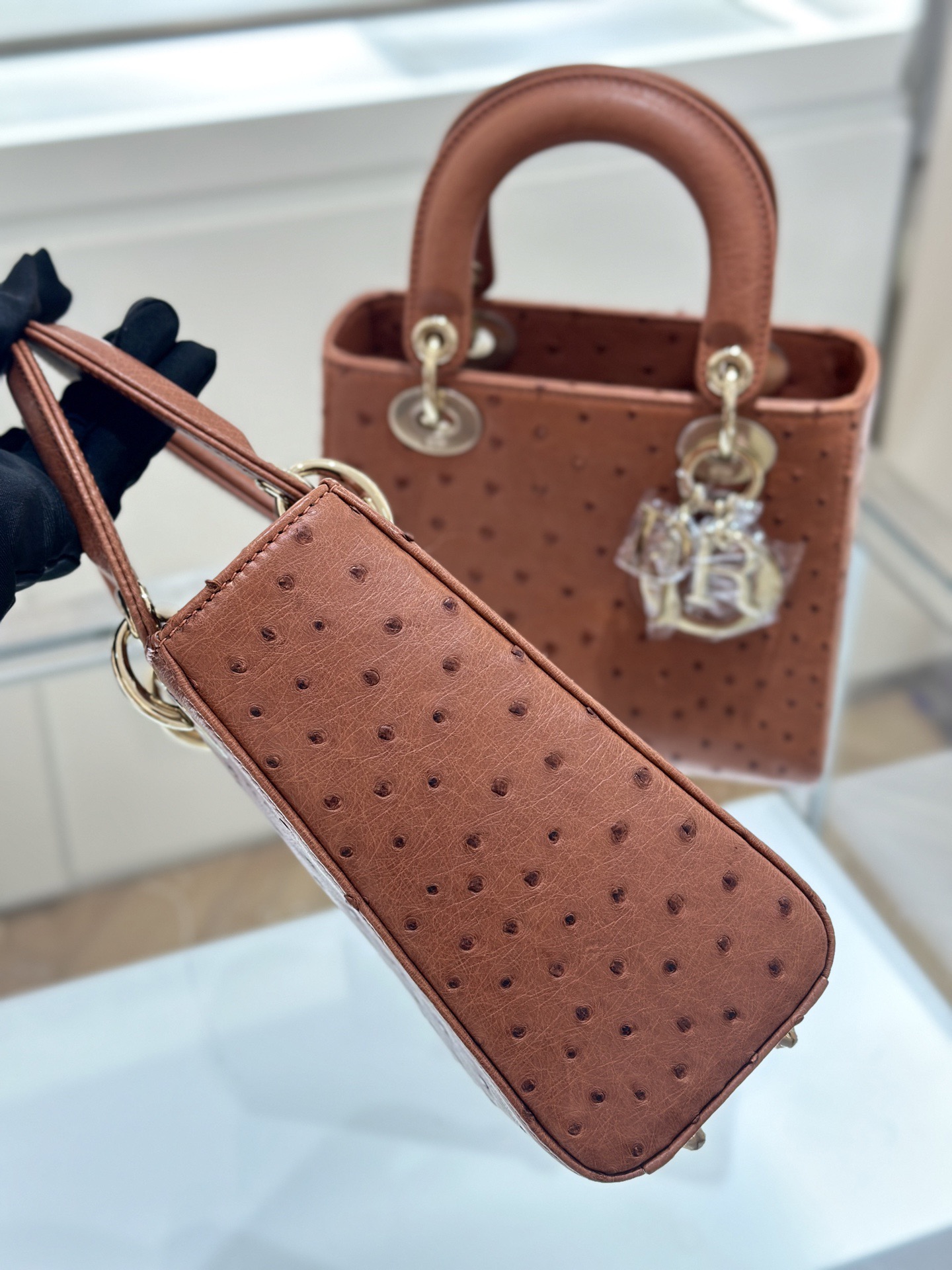OSTRICH LEATHER  - Image 2